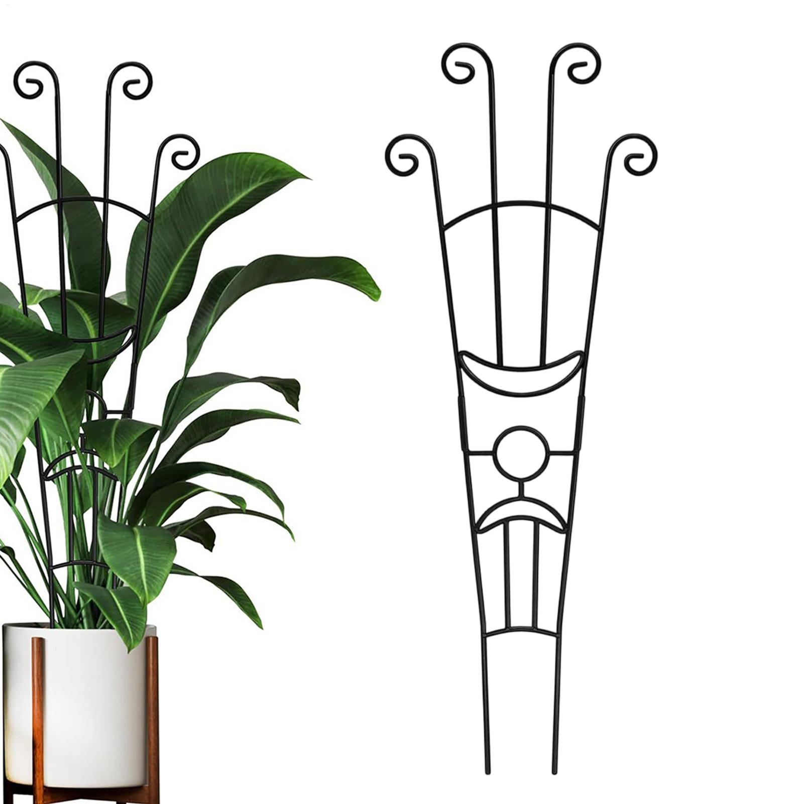 Plant Support Stake - Bitki Çerçevesi Metal Bitki Desteği Pothos