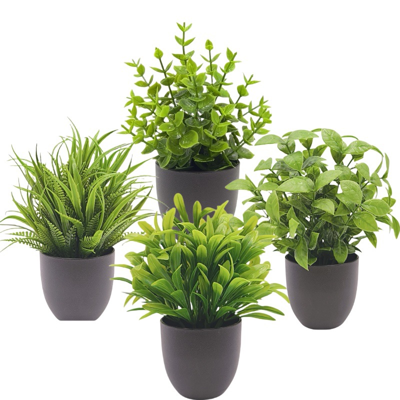 Succulent Set - Simülasyon Yeşil Bitki Bonsai Sınır Ötesi
