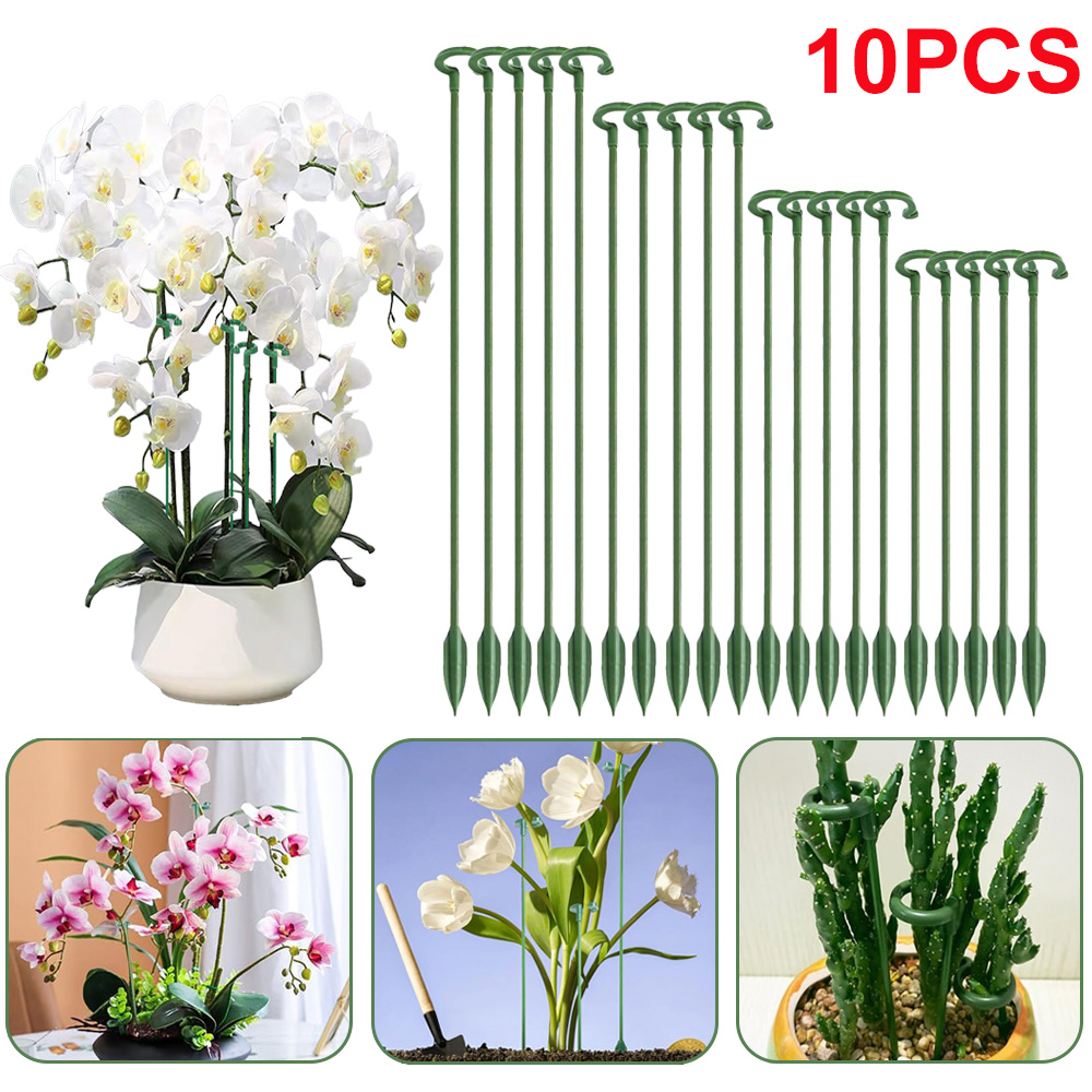 Succulent Set - 5/10 adet bitki destek kazıkları saksı