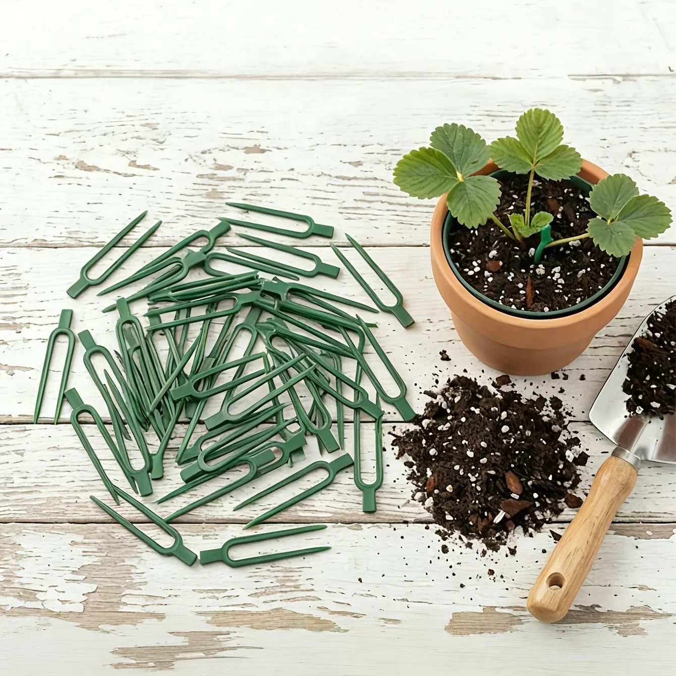 Plant Support Stake - 50 adet Plastik Bitki Sarmalı Destek