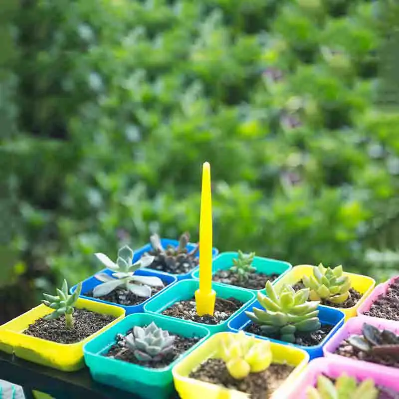 1/10 adet Ekim Succulents Nakl - Succulent Set incelemesi ve fiyatı