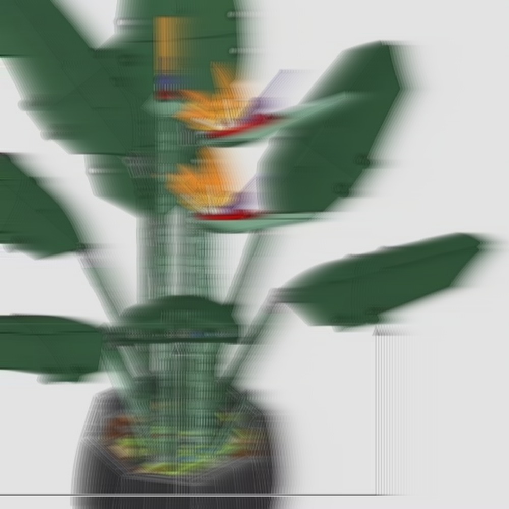Muhteşem Cennet Kuşu Buketi, D - The Plant Parent incelemesi ve fiyatı