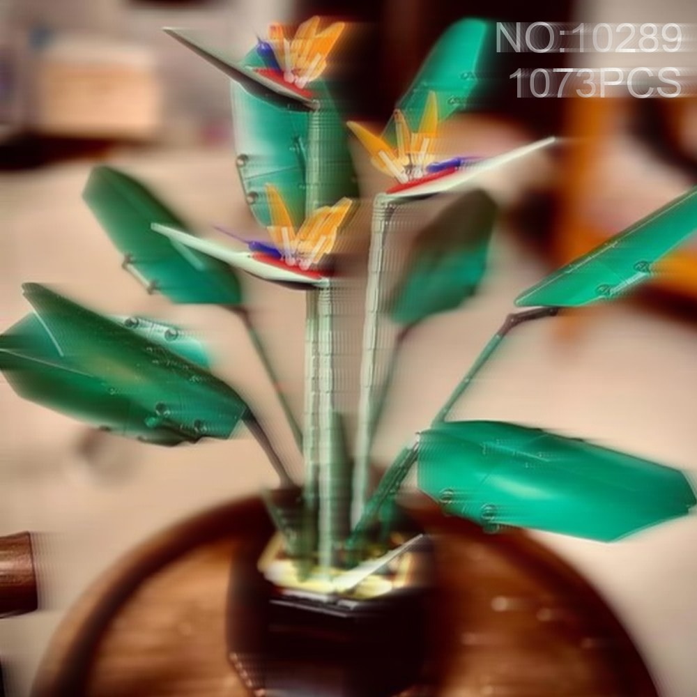 Muhteşem Cennet Kuşu Buketi, D - The Plant Parent incelemesi ve fiyatı