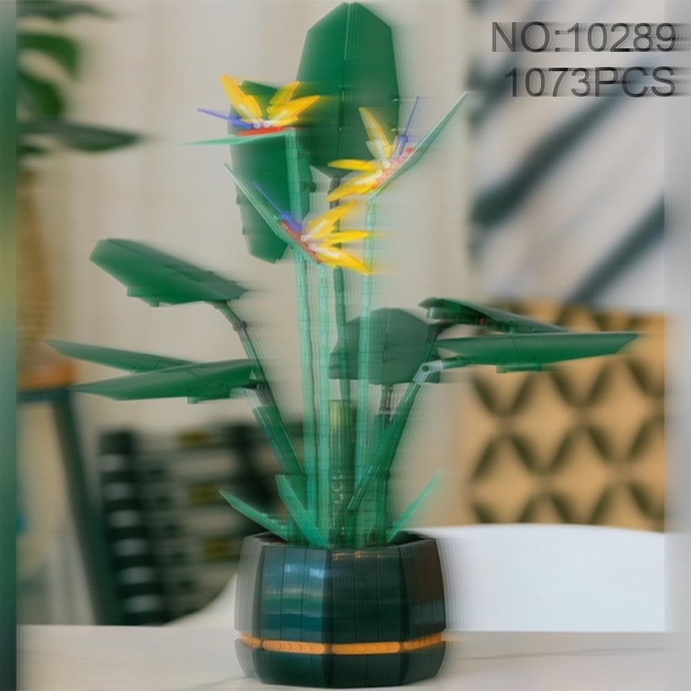 Muhteşem Cennet Kuşu Buketi, D - The Plant Parent incelemesi ve fiyatı