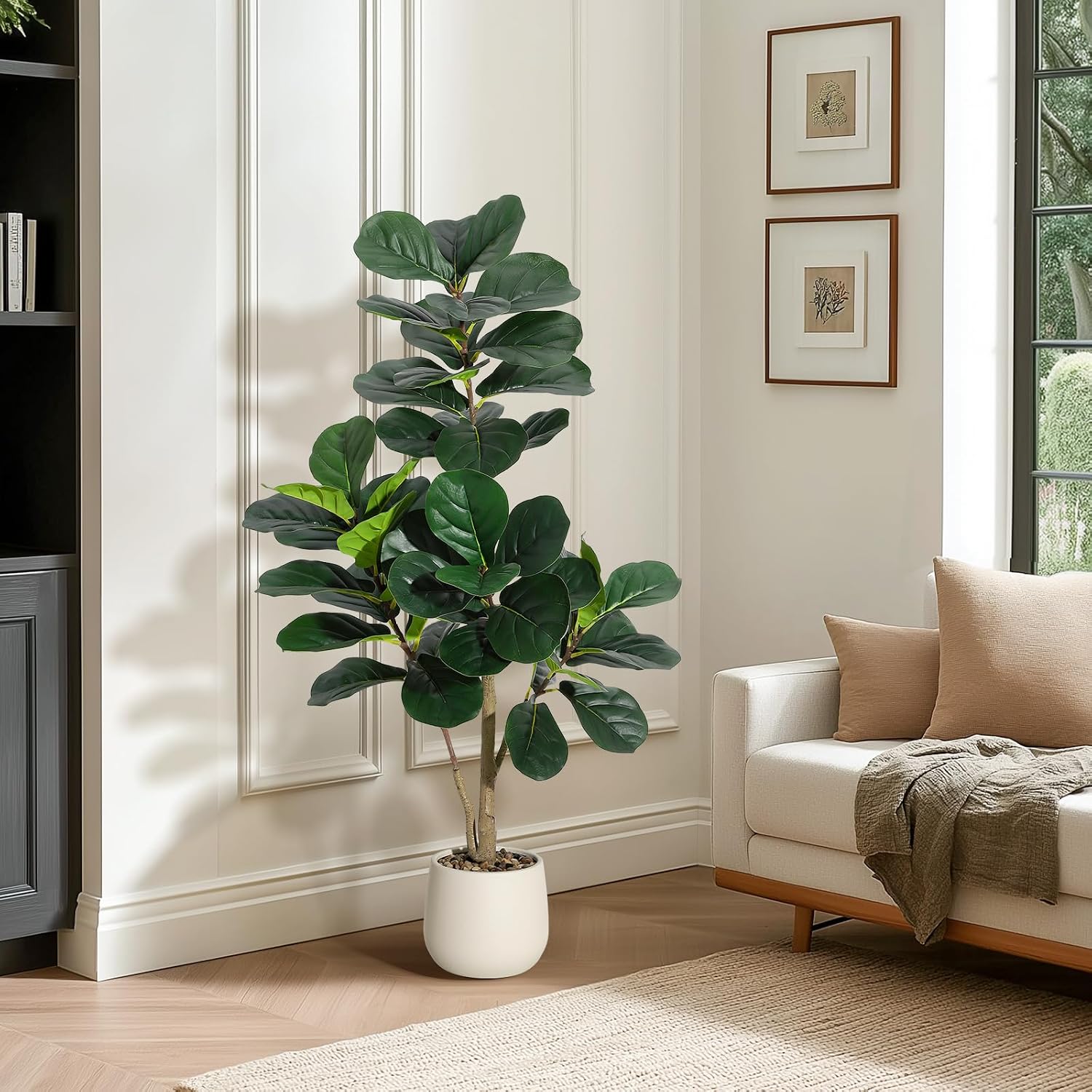 4 ft (1,2 metre) yüksekliğinde - Fiddle Leaf Fig incelemesi ve fiyatı