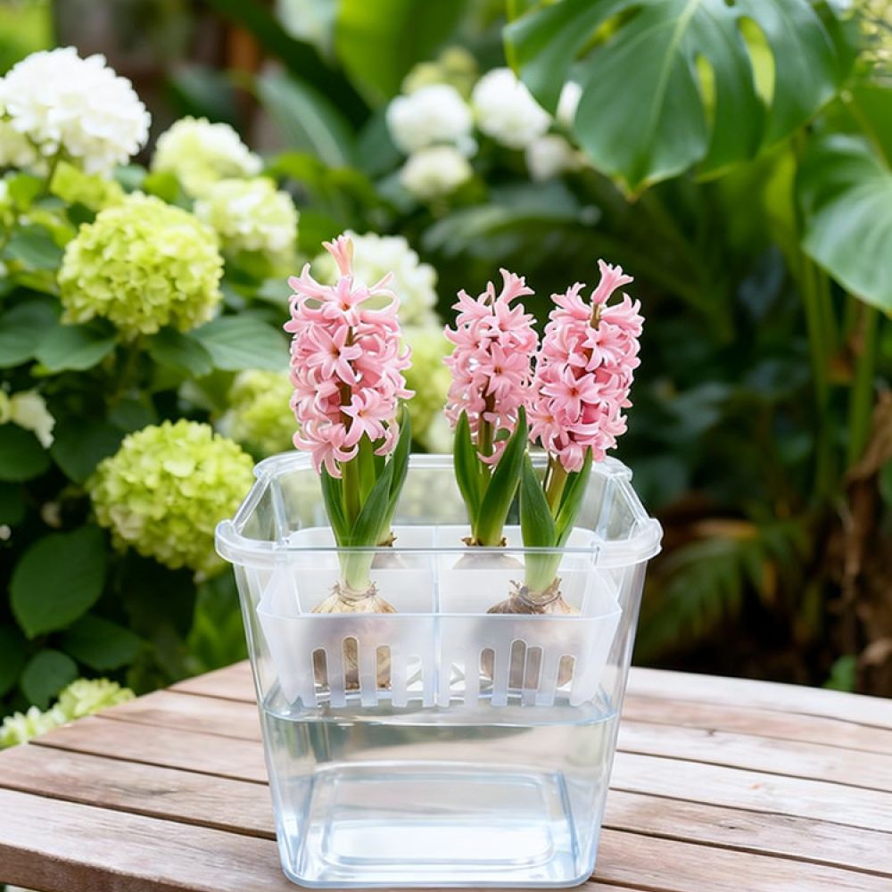 Lale ve Zambak Bulunduğunda Ku - Indoor Plants incelemesi ve fiyatı