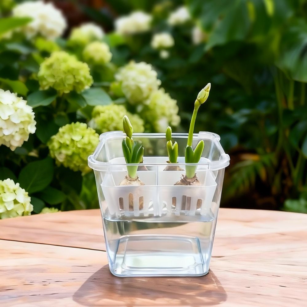 Lale ve Zambak Bulunduğunda Ku - Indoor Plants incelemesi ve fiyatı