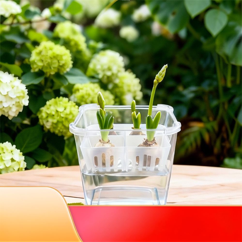 Lale ve Zambak Bulunduğunda Ku - Indoor Plants incelemesi ve fiyatı