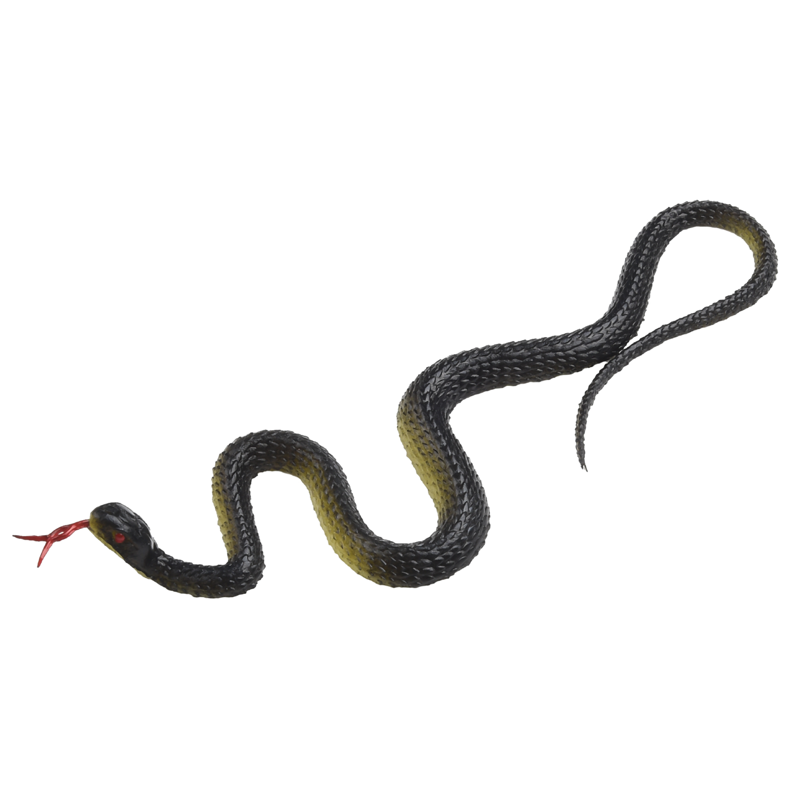 Bahçe Bitkileri, Gerçekçi Görü - Snake Plant incelemesi ve fiyatı
