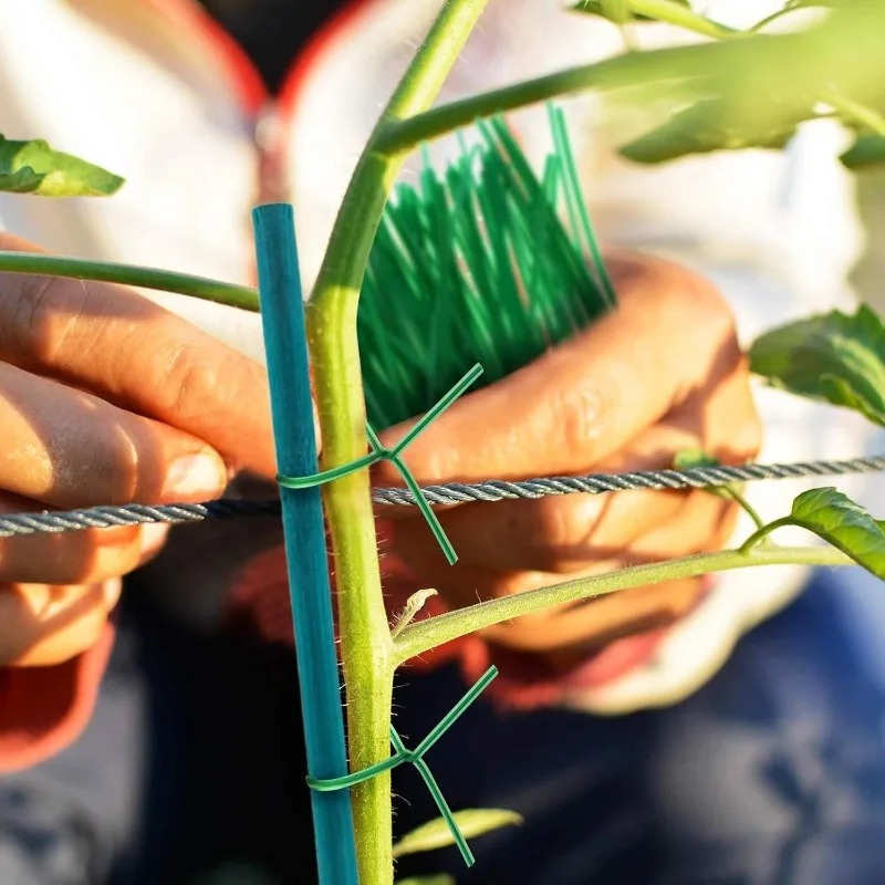 Bitki Destek Çubukları, Bambu  - Plant Support Stake incelemesi ve fiyatı