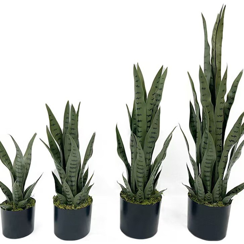 40-100cm Yapay Sansevieria Yıl - Snake Plant incelemesi ve fiyatı
