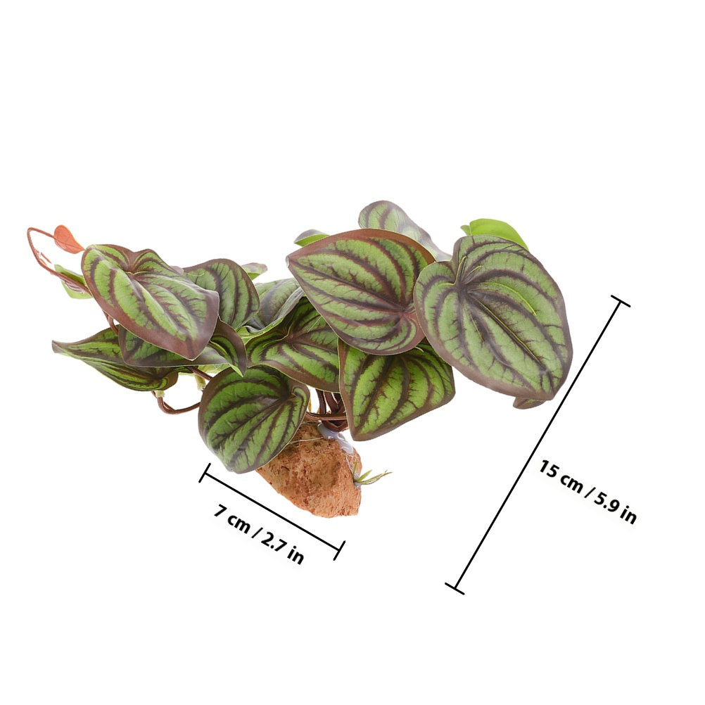 Yüksek Kaliteli, Gerçekçi Görü - Snake Plant incelemesi ve fiyatı