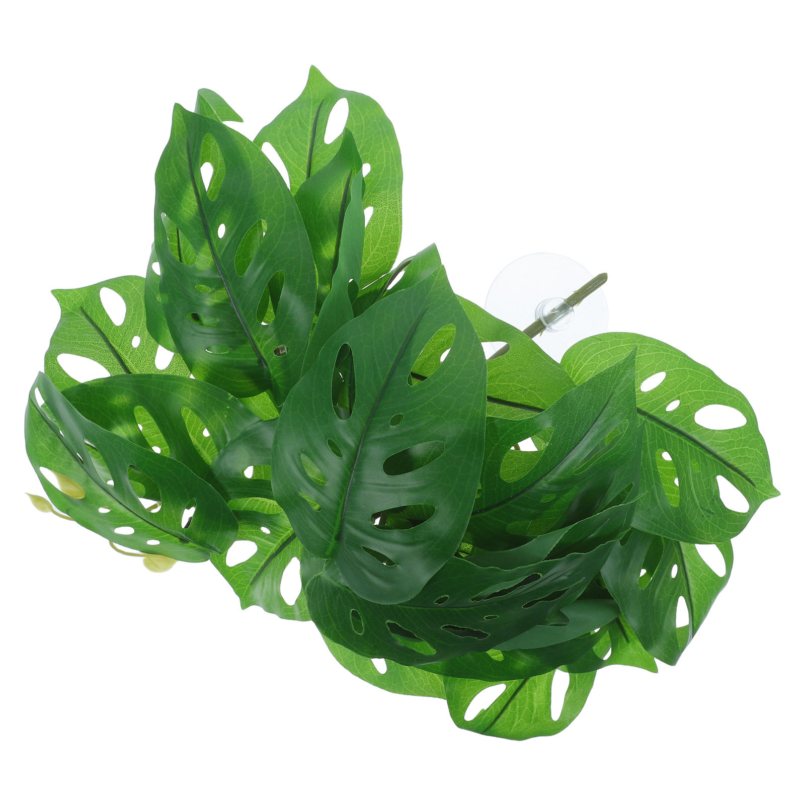 Sürüngen Habitatı Dekorasyonu: - Snake Plant incelemesi ve fiyatı