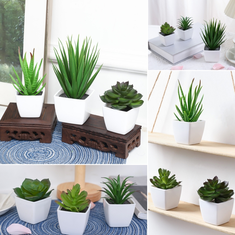 (3 adetlik set) Evleri, Restor - Succulent Set incelemesi ve fiyatı