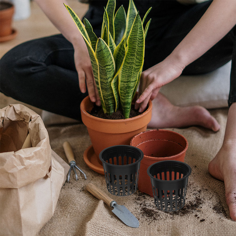 15 Adet Hidroponik Bitki Sepet - Indoor Plants incelemesi ve fiyatı