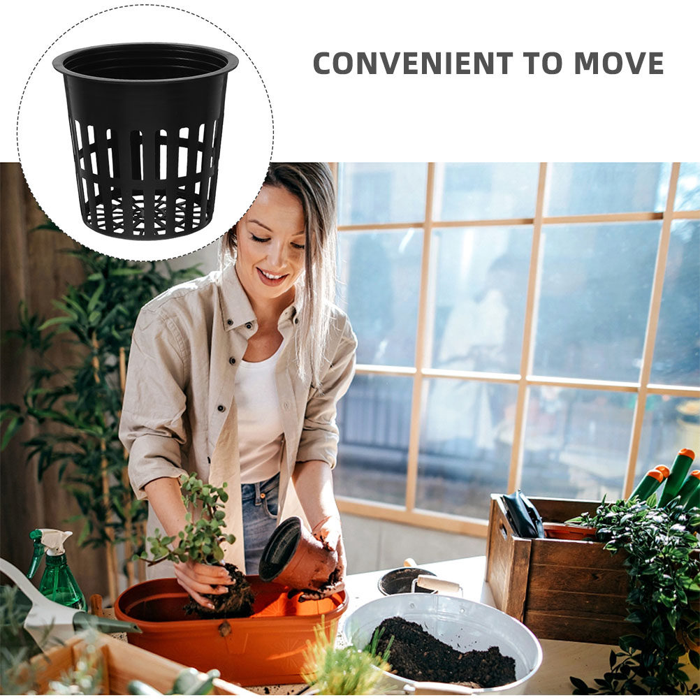 15 Adet Hidroponik Bitki Sepet - Indoor Plants incelemesi ve fiyatı