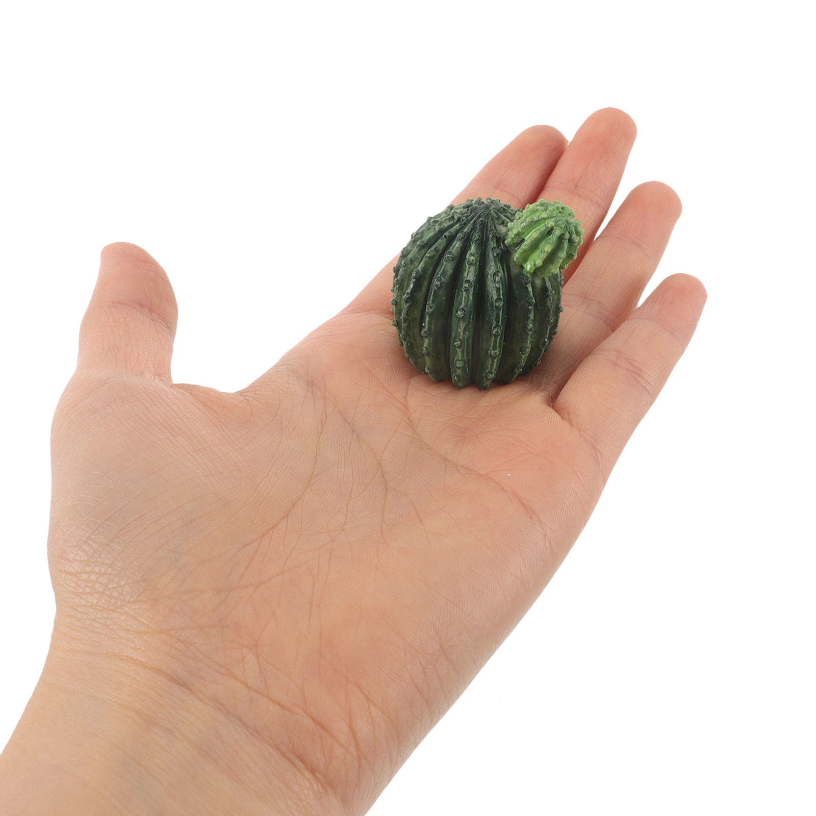 Mini Reçine Kaktüs ve Sukulent - Succulent Set incelemesi ve fiyatı