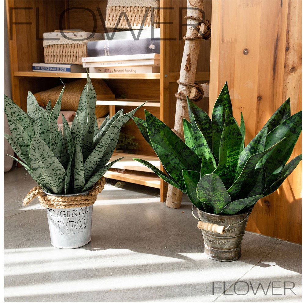Yapay PVC Yılan Bitkisi, 33 cm - Snake Plant incelemesi ve fiyatı
