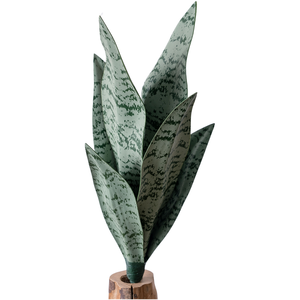 Yapay PVC Yılan Bitkisi, 33 cm - Snake Plant incelemesi ve fiyatı