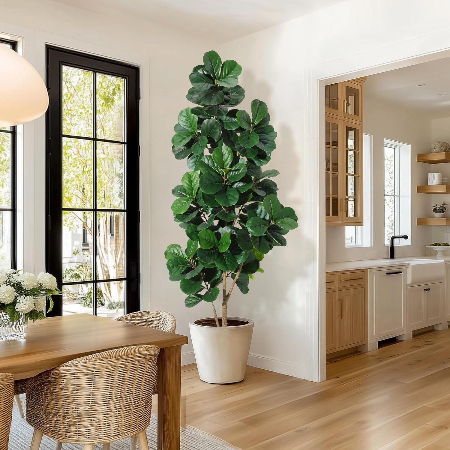 4FT/5FT/6FT/7FT Keman Yaprağı  - Fiddle Leaf Fig incelemesi ve fiyatı