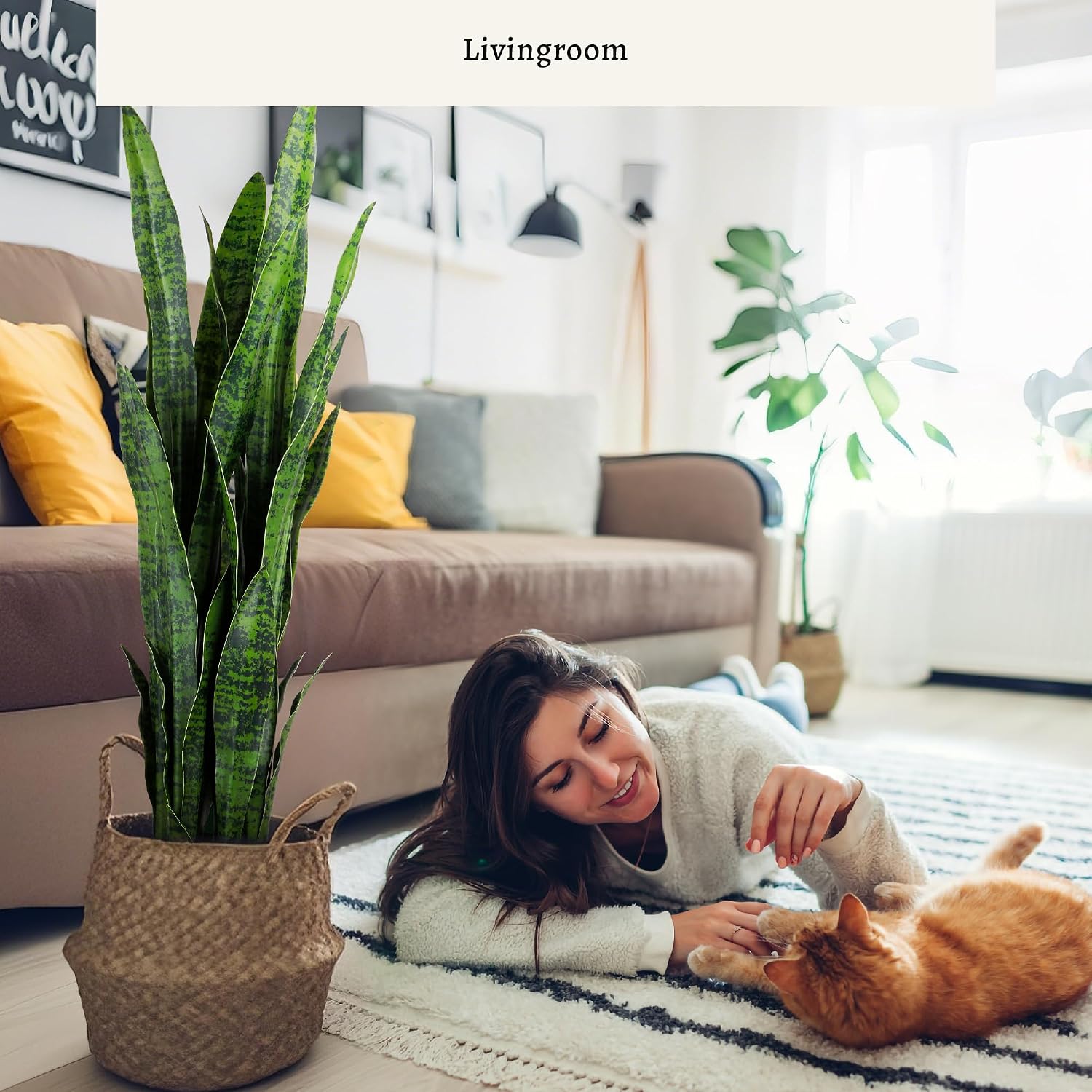 Yapay Yılan Bitkisi, 35 inçlik - Snake Plant incelemesi ve fiyatı