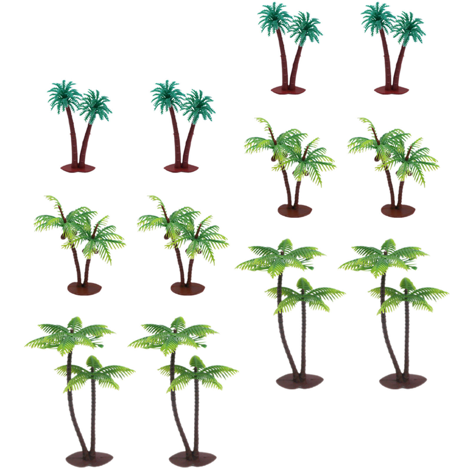 12 Adet Hindistan Cevizi Ağacı - Indoor Plants incelemesi ve fiyatı