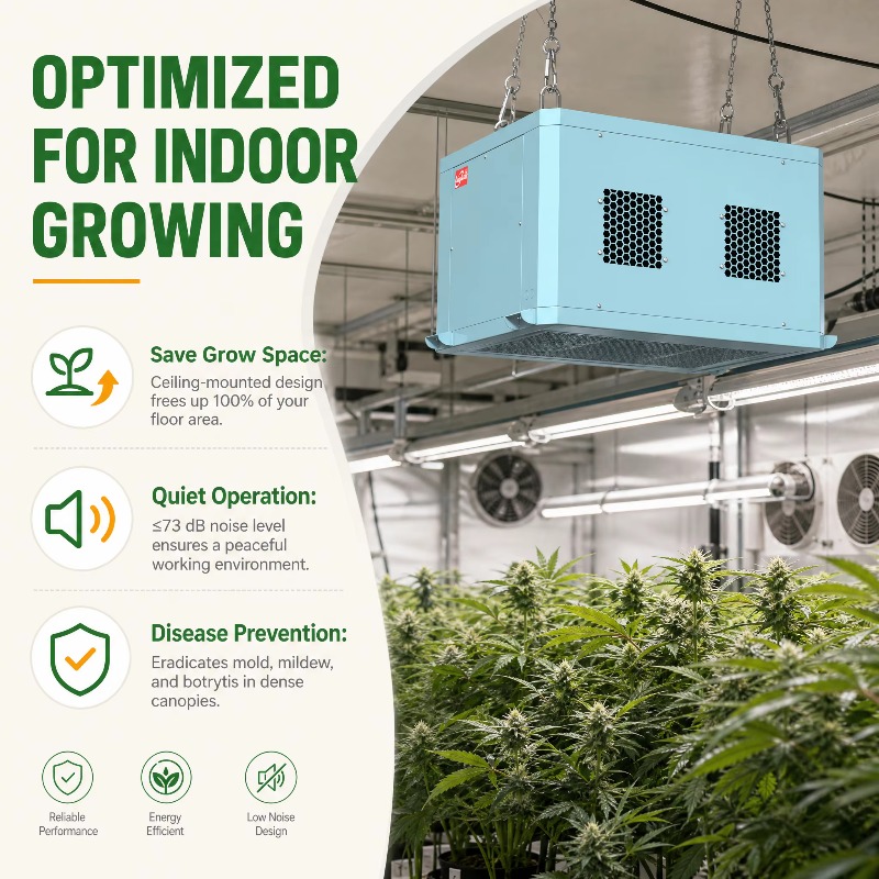 Güçlü Sera Nem Alma Cihazı, Ta - Indoor Plants incelemesi ve fiyatı